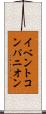 イベントコンパニオン Scroll