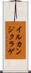 イルカンジクラゲ Scroll