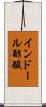 インドール酢酸 Scroll