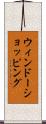 ウィンドーショッピング Scroll