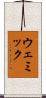ウェミック Scroll