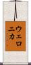Weronika Scroll