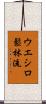 Ueshiro Shorin-Ryu / Ueshiro Matsubayashi-Ryu Scroll