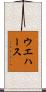 ウエハース Scroll