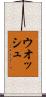 ウオッシュ Scroll