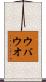 ウバウオ Scroll