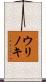 ウリノキ Scroll