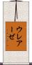 ウレアーゼ Scroll