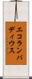 エコランパディウス Scroll