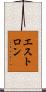 エストロン Scroll
