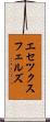 エセツクスフェルズ Scroll
