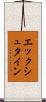 エックシュタイン Scroll