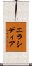 エラシディア Scroll