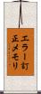 エラー訂正メモリ Scroll
