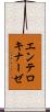 エンテロキナーゼ Scroll