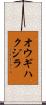 オウギハクジラ Scroll