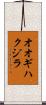 オオギハクジラ Scroll