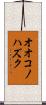 オオコノハズク Scroll