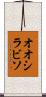 オオシラビソ Scroll