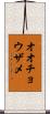 オオチョウザメ Scroll