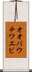 オオバウチワエビ Scroll
