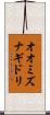 オオミズナギドリ Scroll