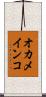 オカメインコ Scroll