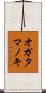 オガタマノキ Scroll