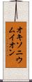 オキソニウムイオン Scroll