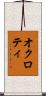 オクロティ Scroll
