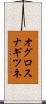 オグロスナギツネ Scroll