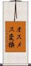 オスメス変換 Scroll