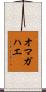 オマガハエ Scroll