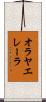 オラヤエレーラ Scroll