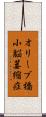 オリーブ橋小脳萎縮症 Scroll