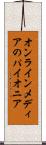 オンラインメディアのパイオニア Scroll
