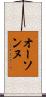 オーソンヌ Scroll