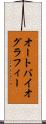 オートバイオグラフィー Scroll