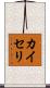 カイセリ Scroll