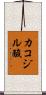 カコジル酸 Scroll