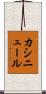 カシニュール Scroll