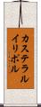 カステラルイリポル Scroll