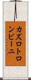 カズロトロンビーニ Scroll
