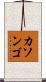 カソンゴ Scroll