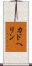 カドヘリン Scroll