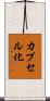 カプセル化 Scroll