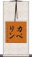 カペリン Scroll