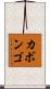 カボンゴ Scroll