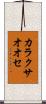カラクサオオセ Scroll