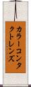 カラーコンタクトレンズ Scroll